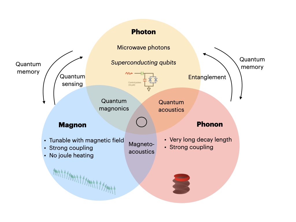 Schematic linking magnons, phonons, and superconducting qubits in the GHz band
